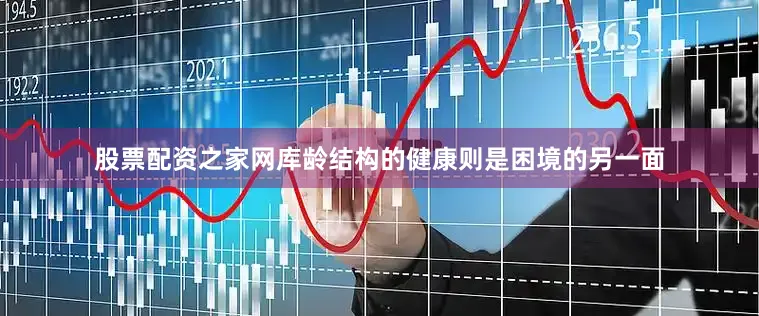 股票配资之家网库龄结构的健康则是困境的另一面