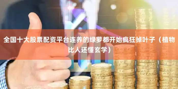 全国十大股票配资平台连养的绿萝都开始疯狂掉叶子（植物比人还懂玄学）