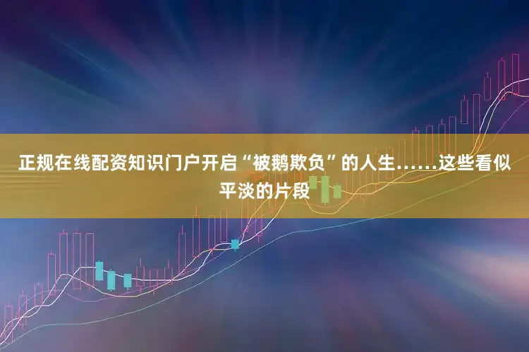 正规在线配资知识门户开启“被鹅欺负”的人生……这些看似平淡的片段