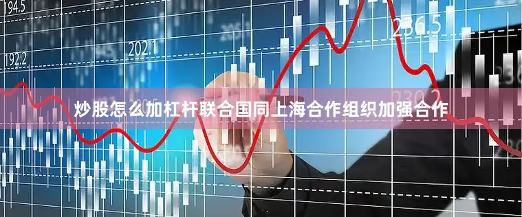 炒股怎么加杠杆联合国同上海合作组织加强合作