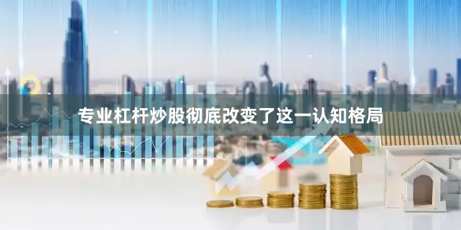 专业杠杆炒股彻底改变了这一认知格局
