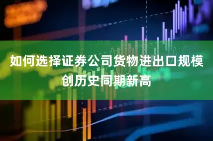 如何选择证券公司货物进出口规模创历史同期新高
